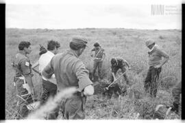 Fotografía de reconocimiento de Lomas del Torito