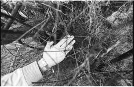 Fotografía de reconocimiento del Centro Clandestino de Detención Comando V Cuerpo de Ejército