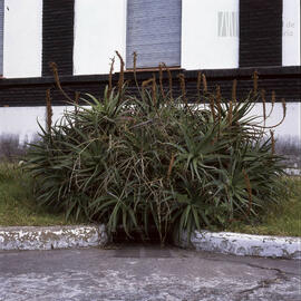 Fotografía de la Ex Escuela de Mecánica de la Armada