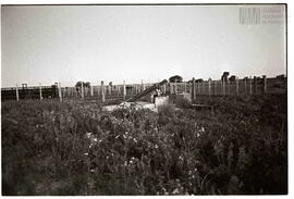 Fotografía de reconocimiento de Lomas del Torito