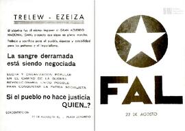 Tarjeta con reproducción de volante de FAL 22